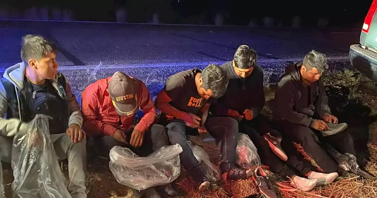 17-year-old apprehended while trafficking five immigrants