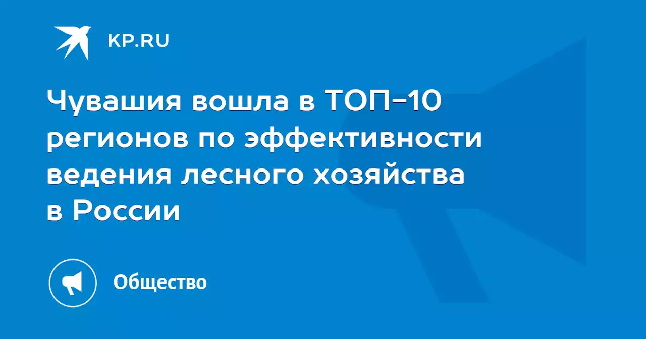 Чувашия вошла в ТОП-10 регионов по эффективности ведения лесного хозяйства в России