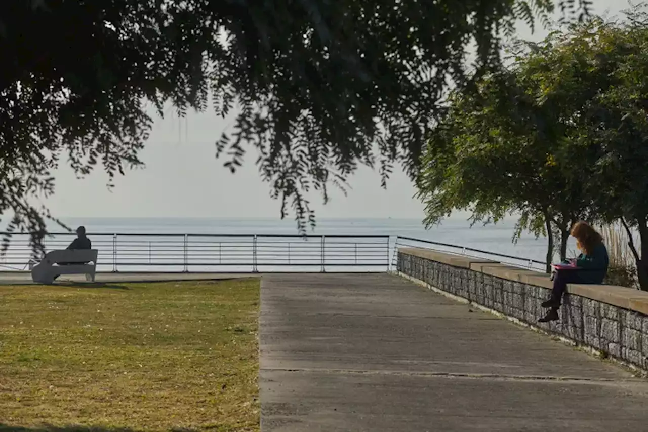 La otra reserva ecológica: un pulmón verde en la zona norte de la ciudad que pocos conocen