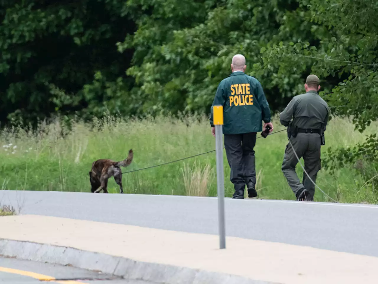 Man Found Dead in Windham, NH, Had Been Shot in the Head, Authorities Say