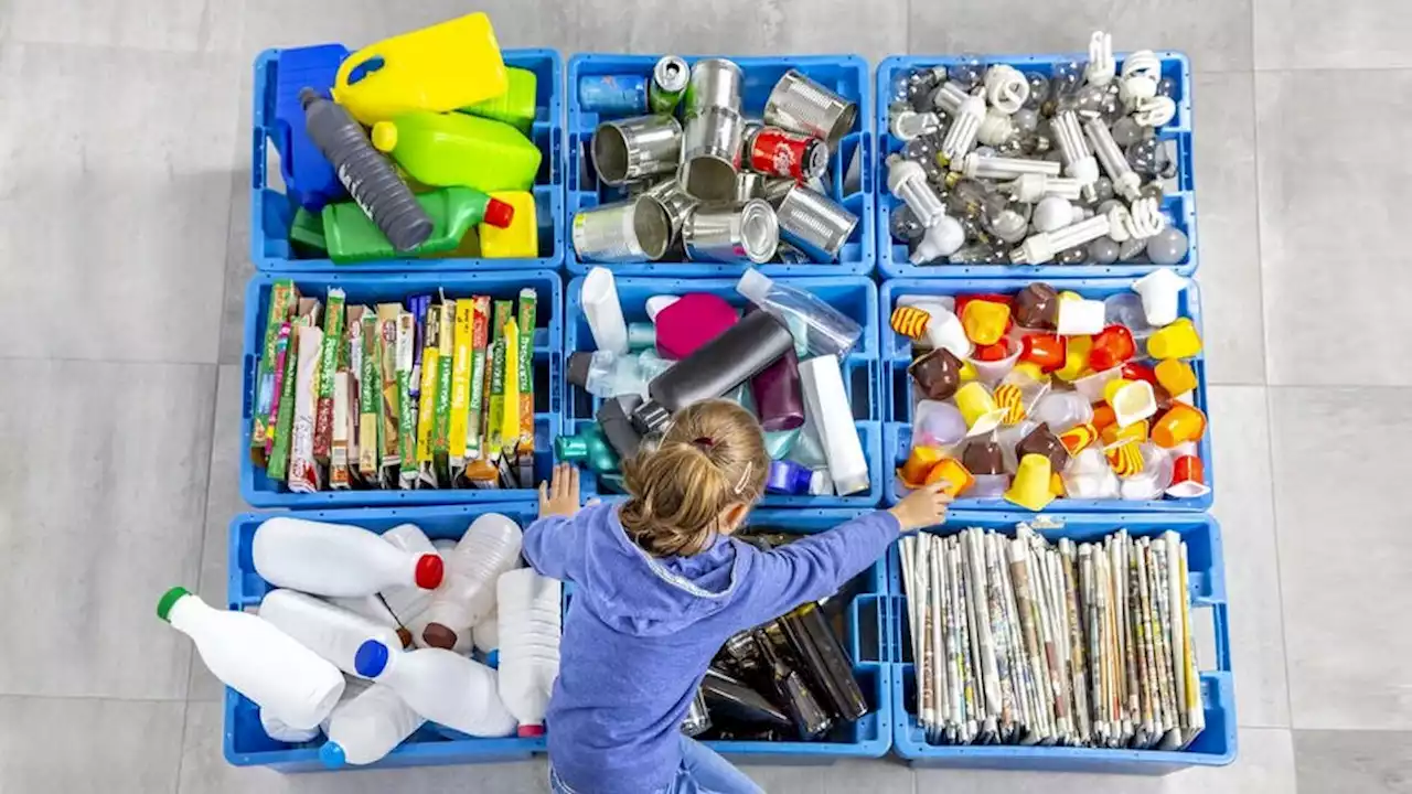 La educación ambiental es el camino | A un año de la promulgación de la ley