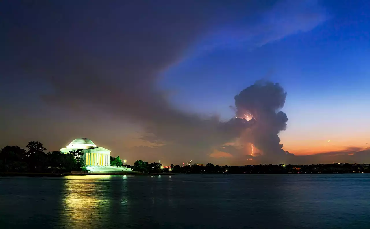 Heavy rains produce flash floods and tree damage across the D.C. region