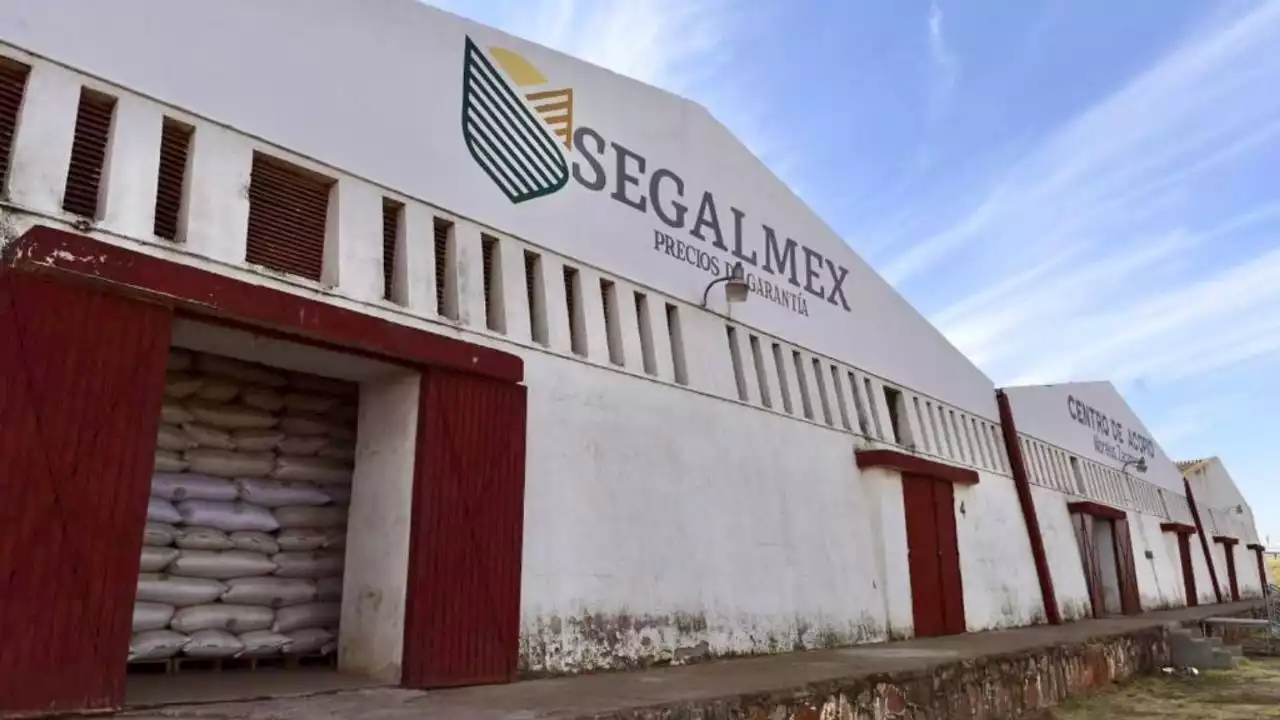 Hay 22 denuncias en la FGR por casos de corrupción en Segalmex