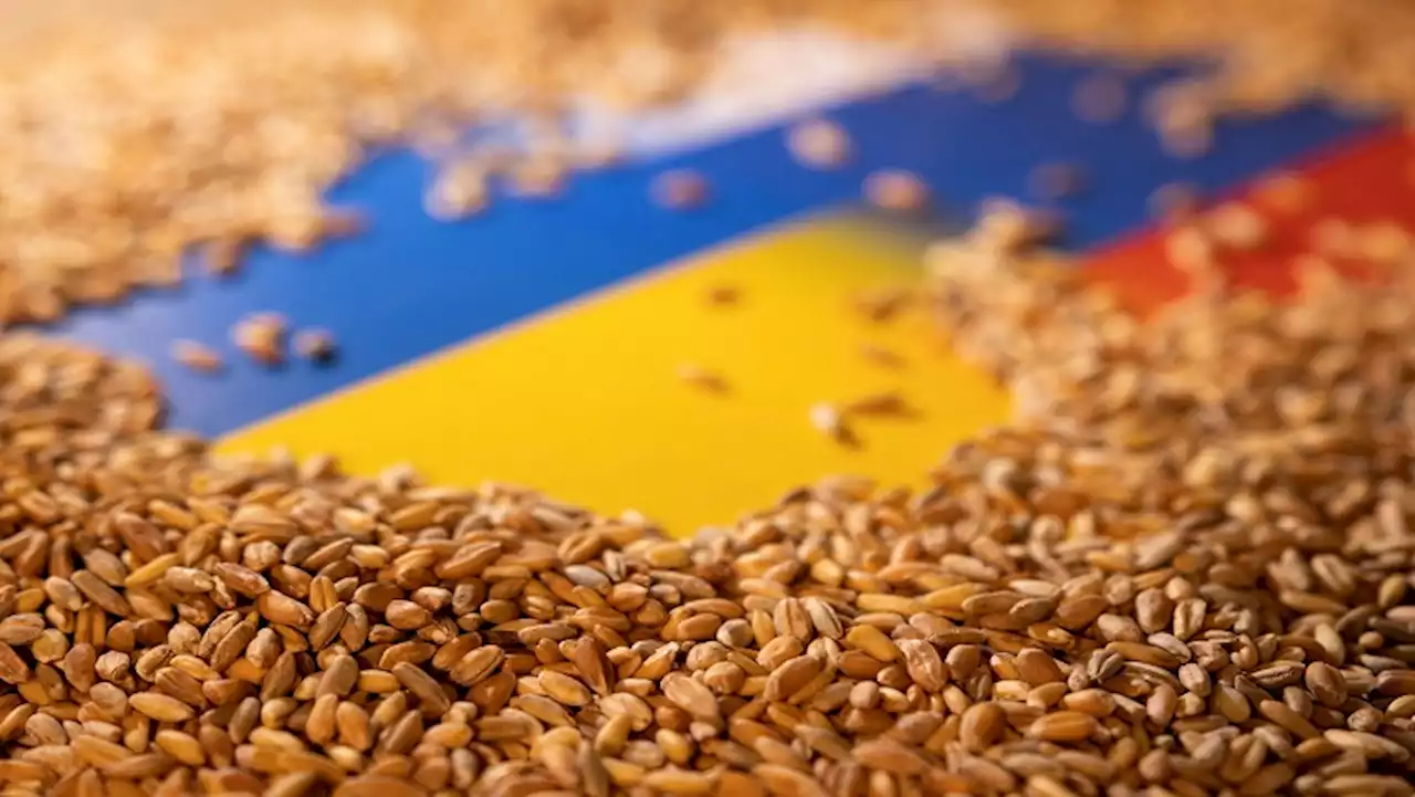 UN aid chief in Moscow to discuss Ukraine grain exports - SABC News - Breaking news, special reports, world, business, sport coverage of all South African current events. Africa's news leader.