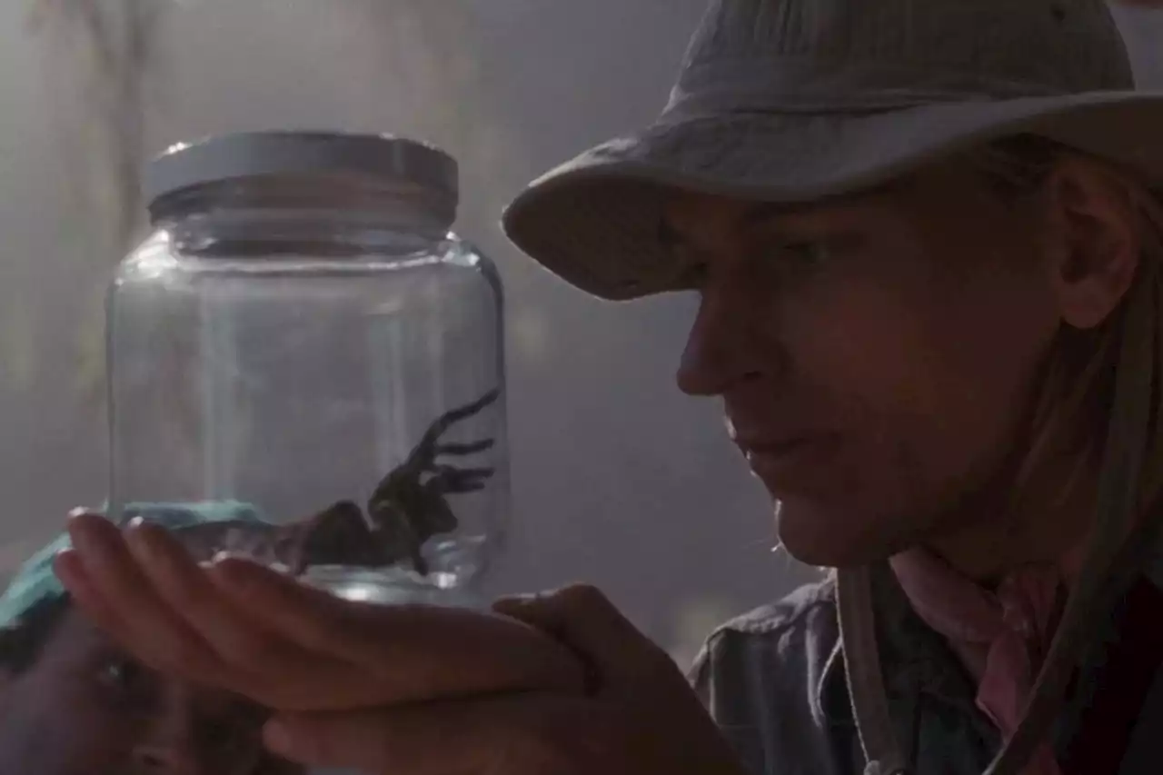 ’90s Horror Comedy ’Arachnophobia’ Gets a Remake