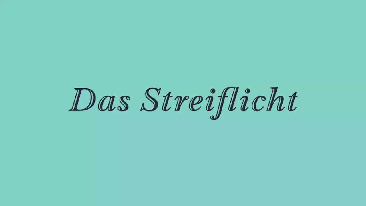 Das Streiflicht