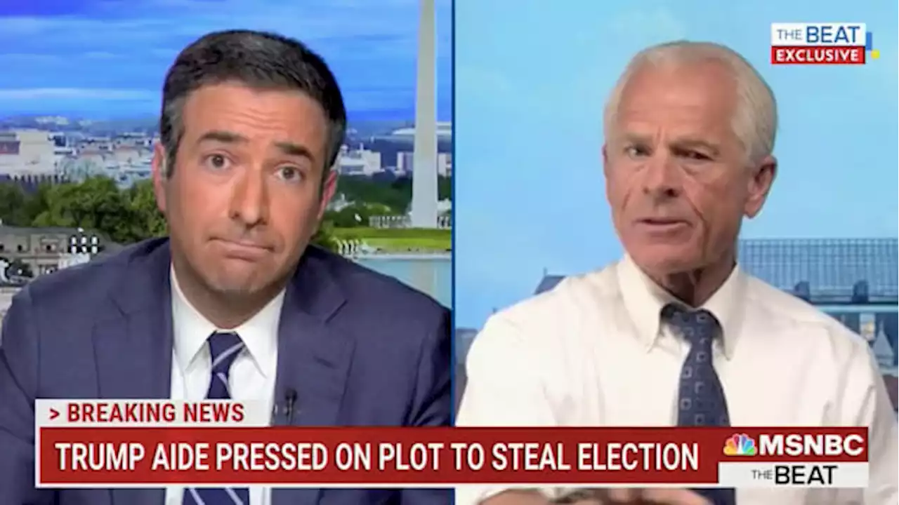 ‘I Am Willing to Go to Jail for This’—Peter Navarro Dishes to Ari Melber After Suing Jan. 6 Committee