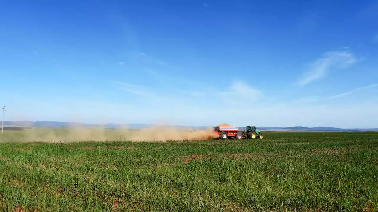 Fertilizer Shortage Will Drive Global Food Prices Higher as Ukraine War Drags On