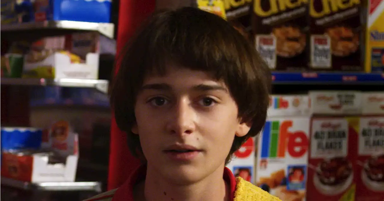 Everything the 'Stranger Things' Cast Has Said About Will's Sexuality