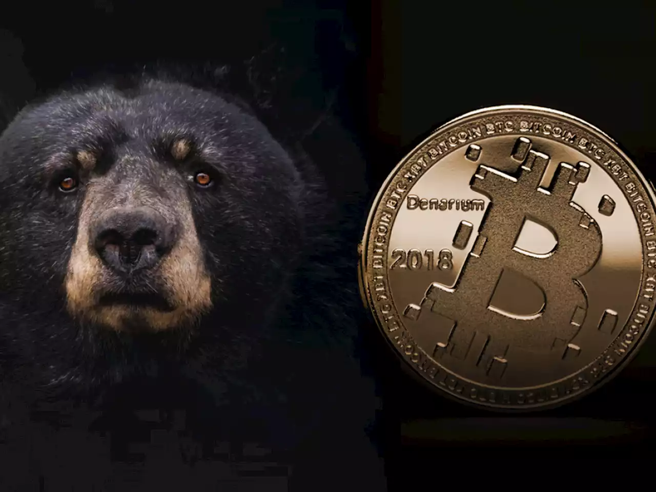 Bitcoin Signals This Familiar Trend Typical of Bear Markets: Details