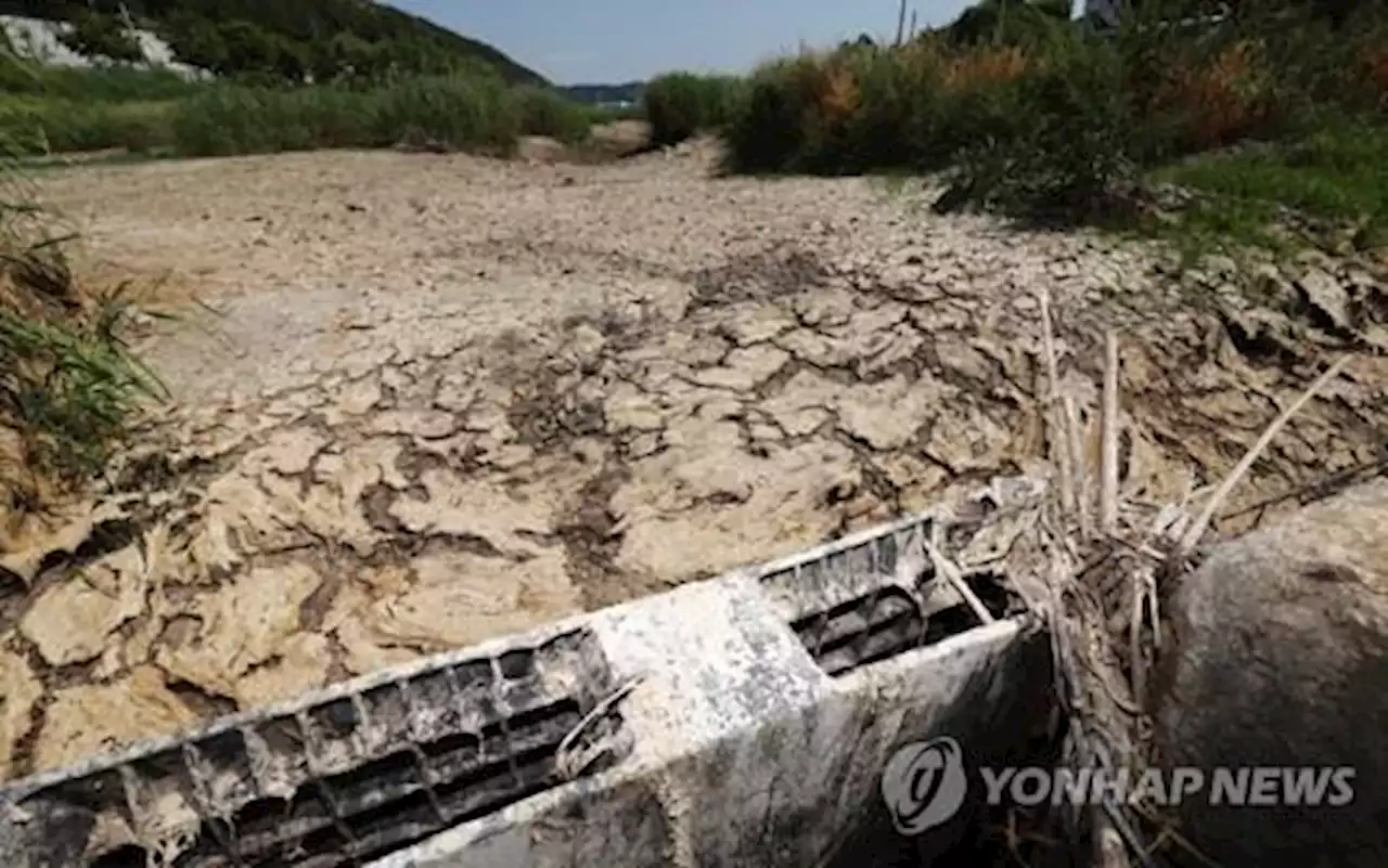 바닥 드러낸 저수지, 타들어 가는 밭작물…전국 가뭄 확산 | 연합뉴스