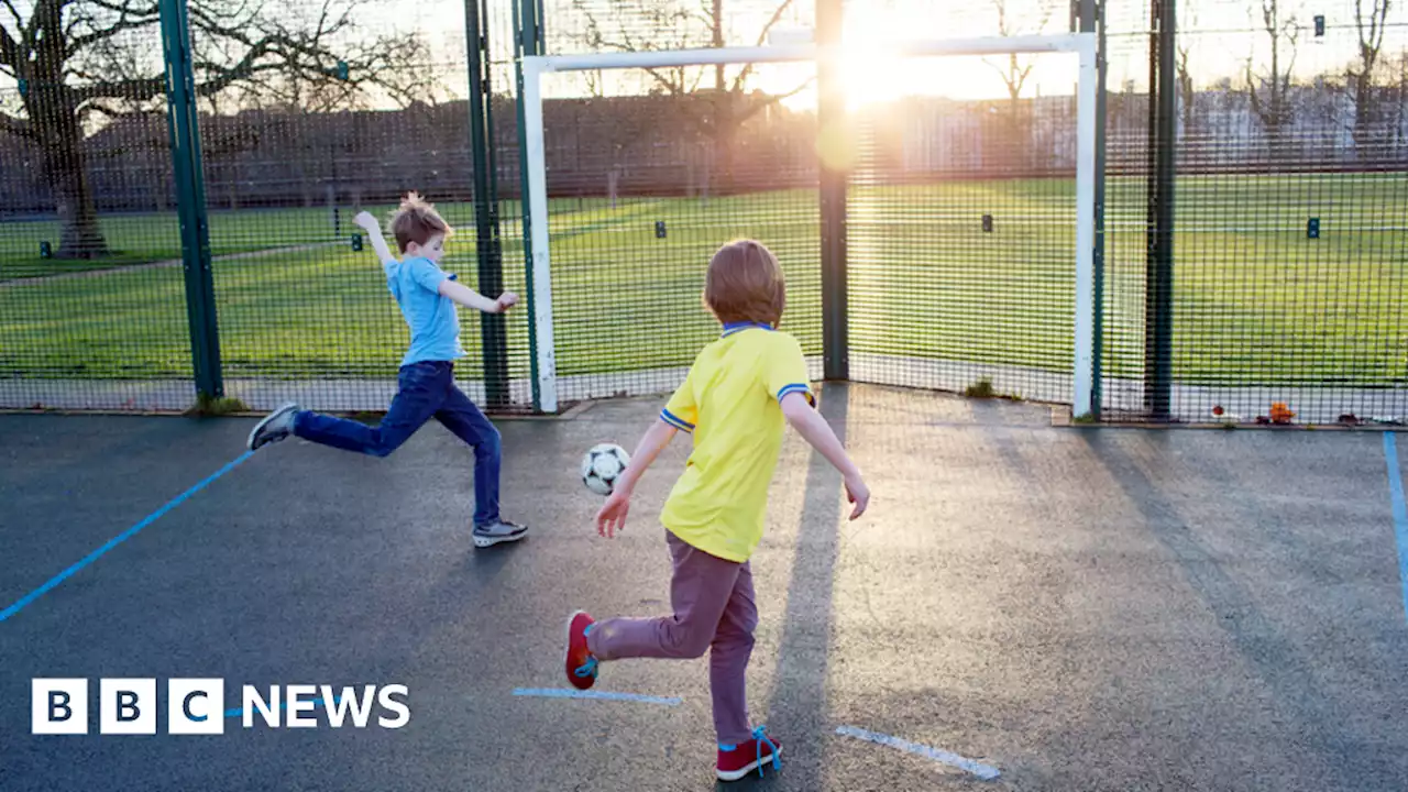 School holidays: Could Wales' summer break be cut to four weeks?