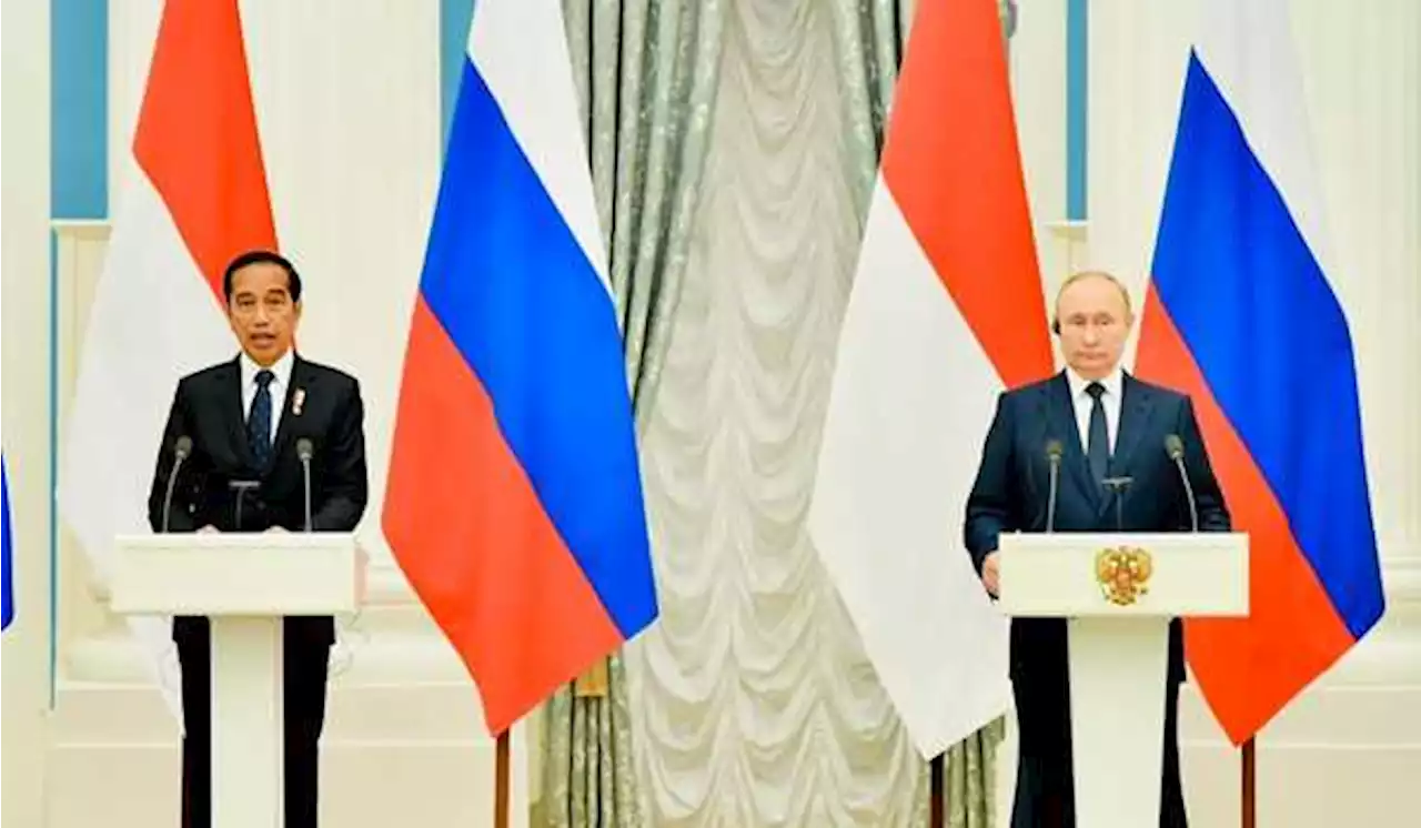 Jokowi Siap Jadi Jembatan Komunikasi Putin dengan Zelensky