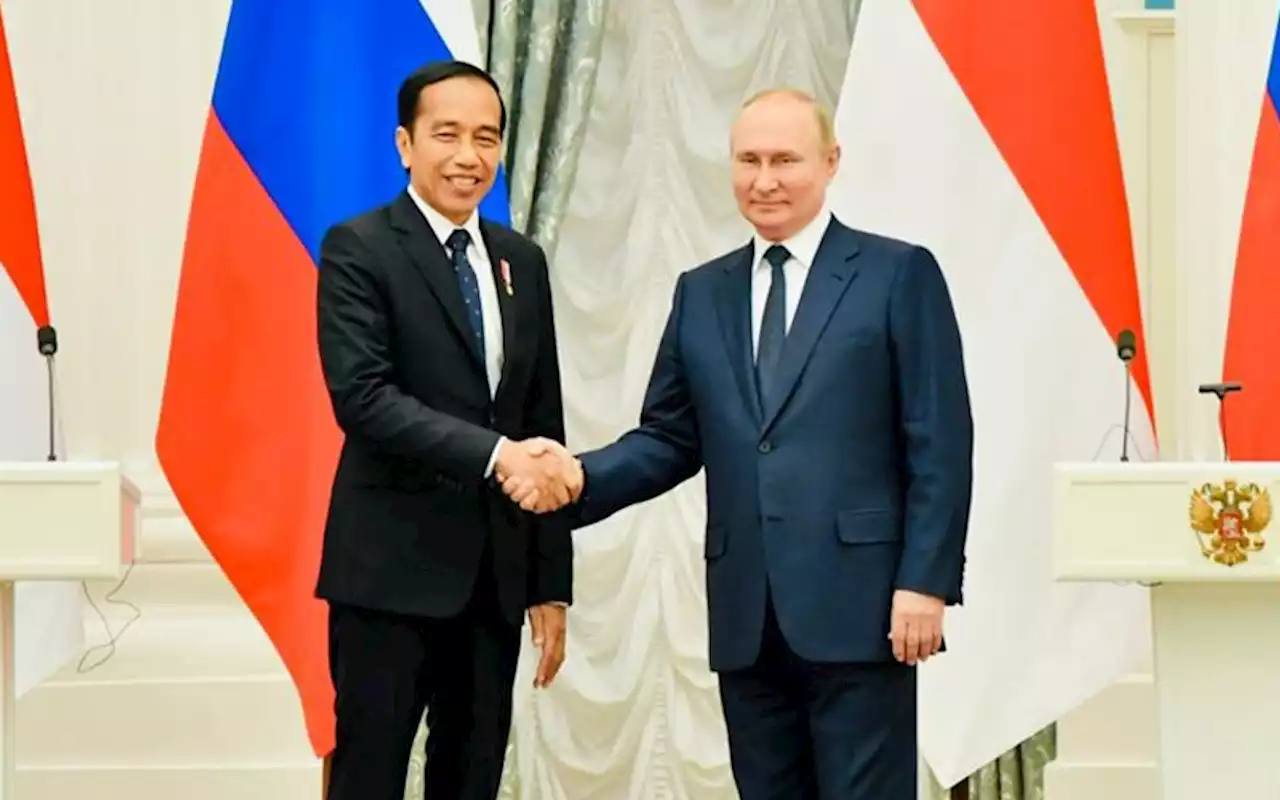 Jokowi di Kremlin, RI Siap Jadi Jembatan Komunikasi Rusia-Ukraina | Kabar24 - Bisnis.com