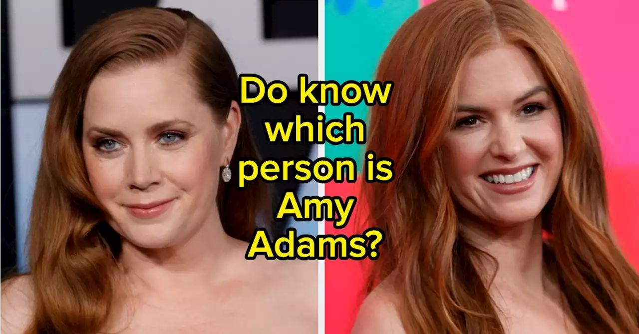 Can You Tell The Difference Between These Celebrity Doppelgängers?