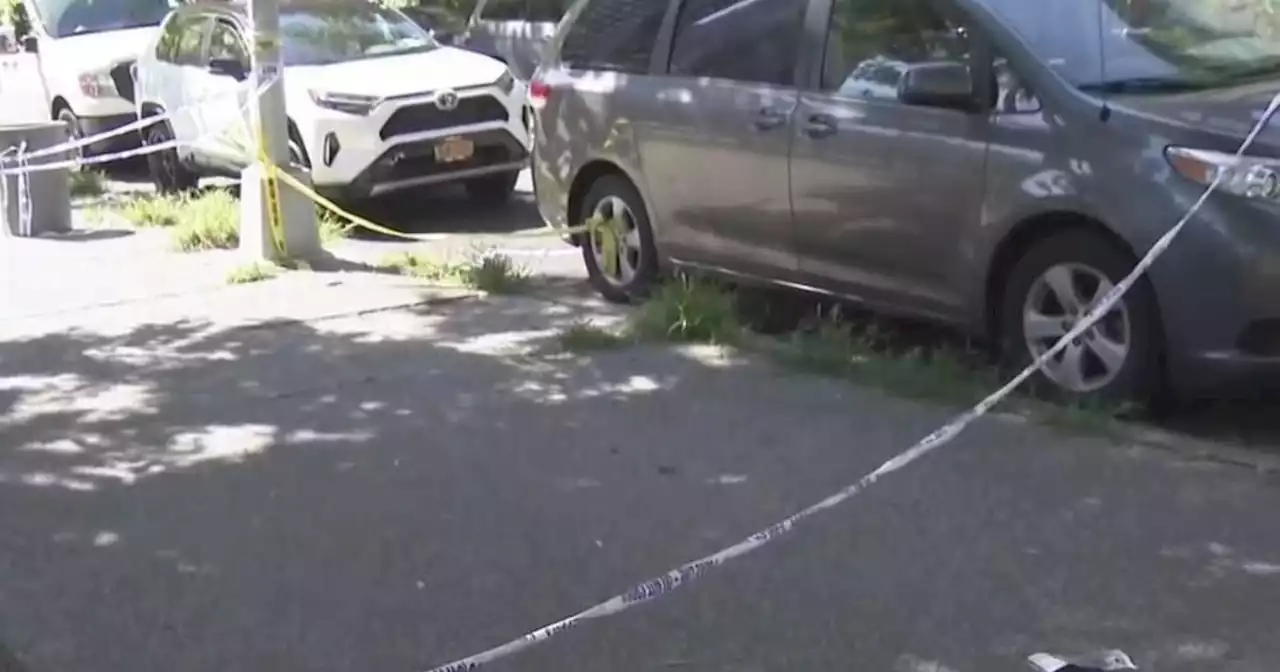 NYPD: Killing of mother pushing daughter in stroller a targeted, domestic incident