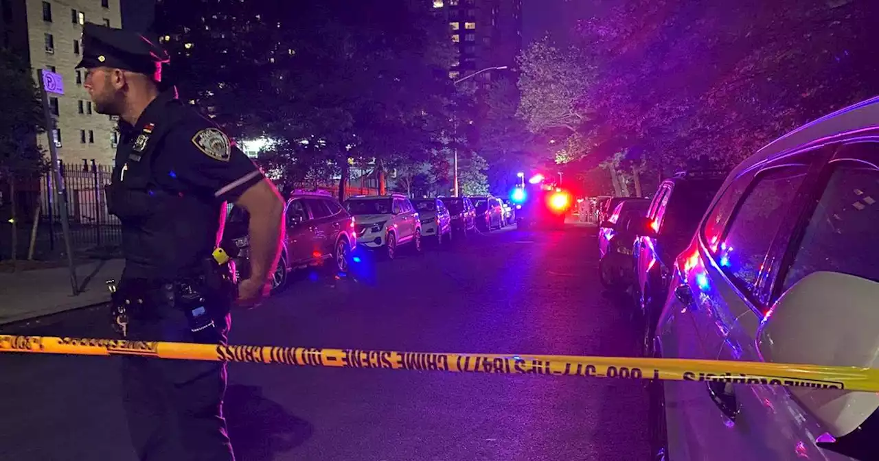 Police: 20-year-old mother fatally shot while pushing baby in stroller on Upper East Side