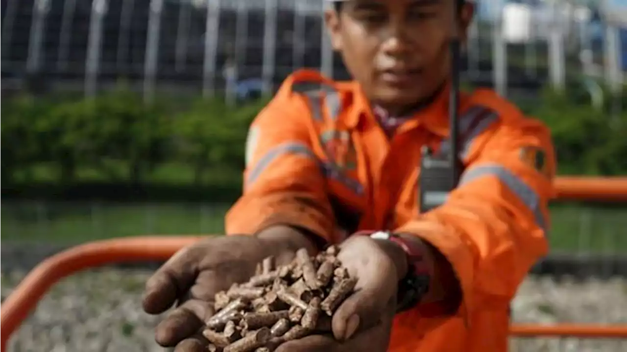 Jurus PLN Tekan Emisi, Perbesar Penggunaan Co-firing di PLTU