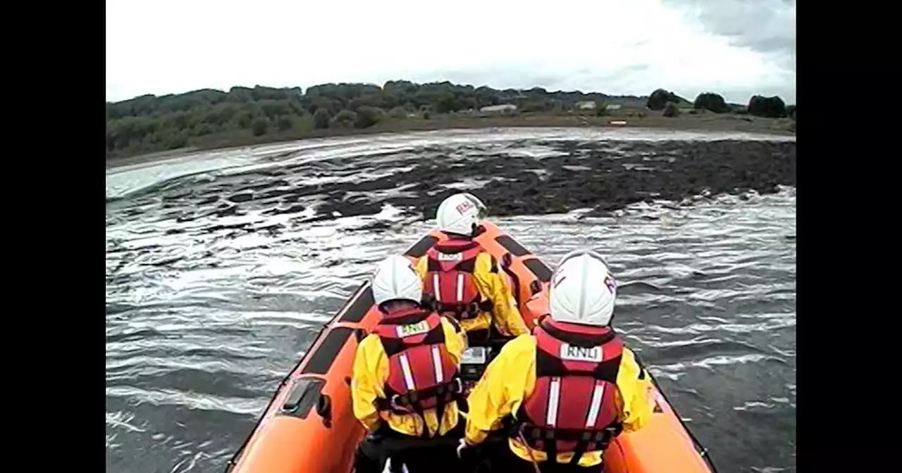 Two people and five dogs rescued after getting stuck waist deep in mud