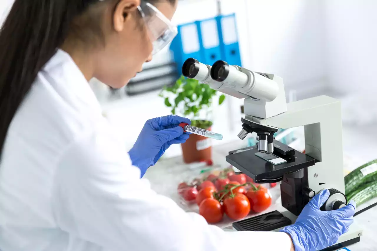 Sponsored Content: Food Safety: Microbiology Testing