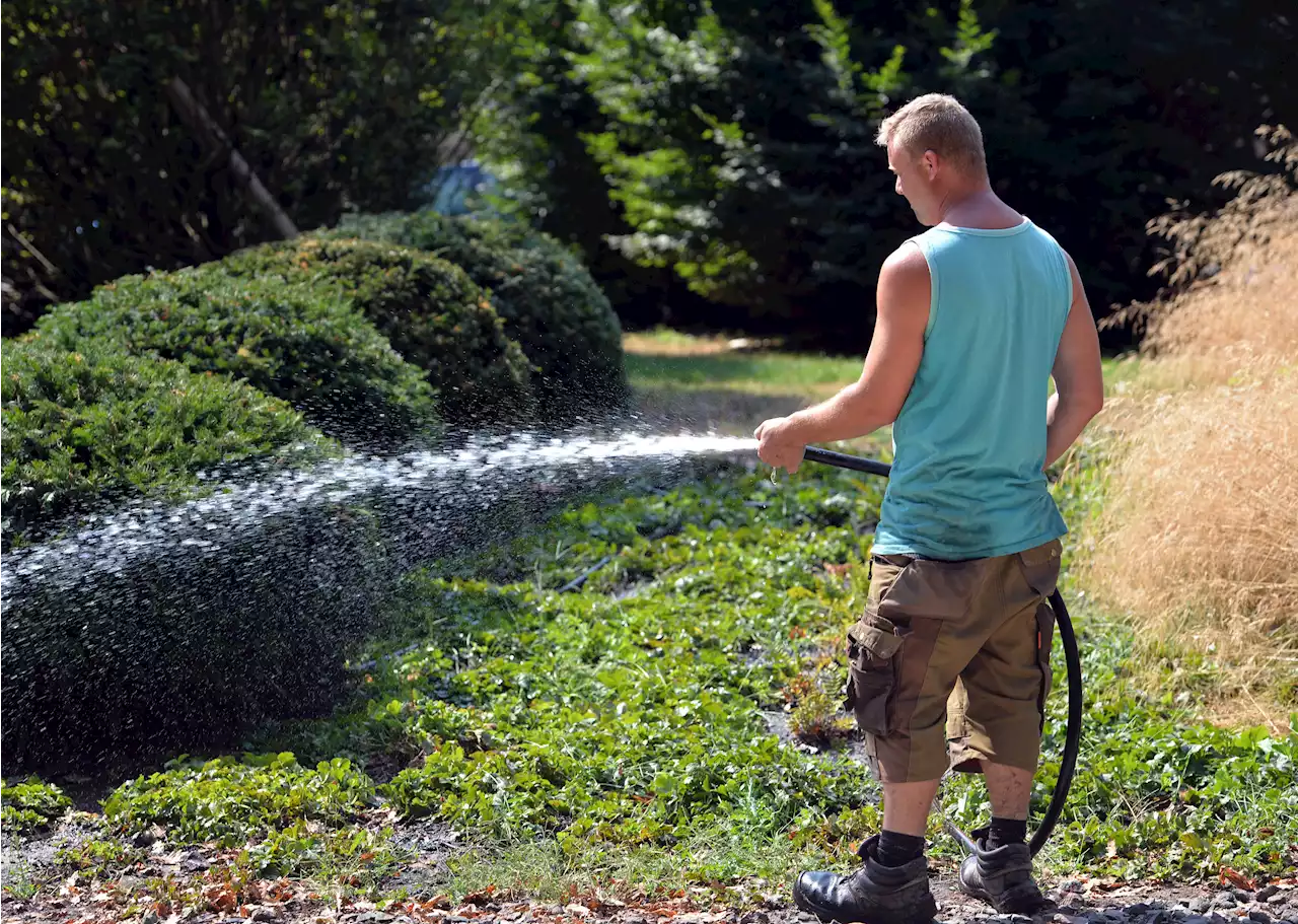 Wasserknappheit - Nach Potsdam verbietet auch Dresden wegen Trockenheit die Wasserentnahme aus Gewässern