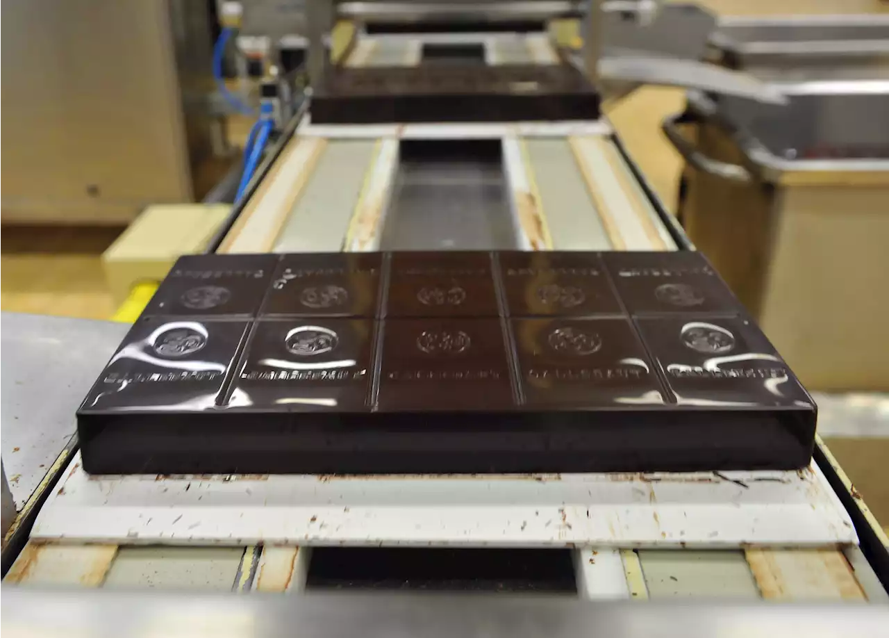 World’s Largest Chocolate Factory Suspends Production After Detecting Salmonella