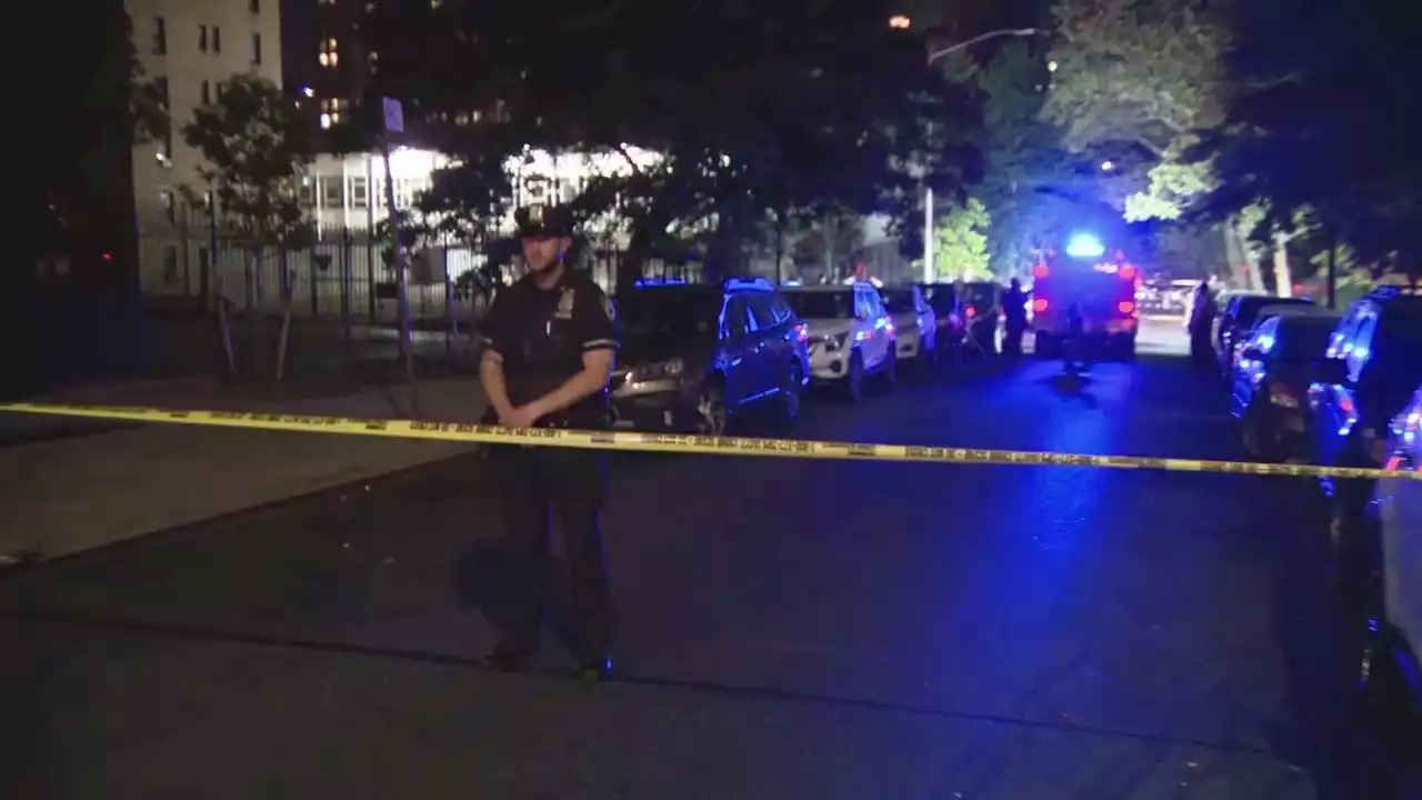 Woman pushing baby in stroller is gunned down on Manhattan street