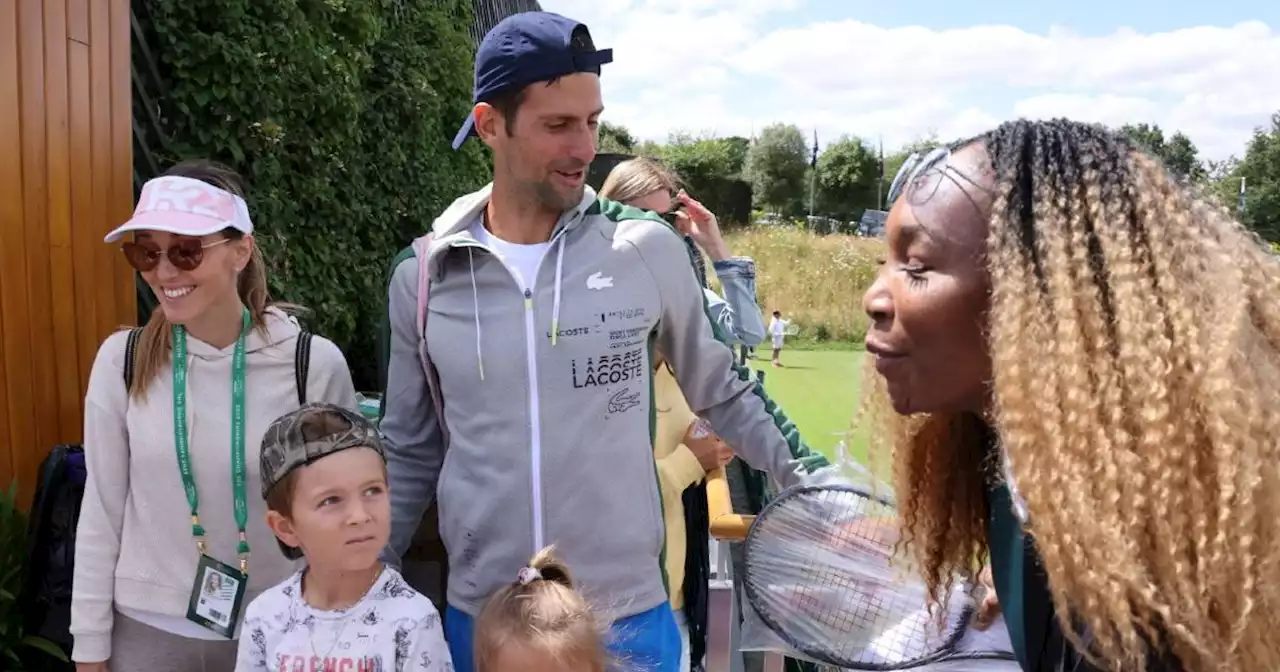 Casual, los hijos de Novak Djokovic pidiéndole autógrafo a Venus Williams (VIDEO)