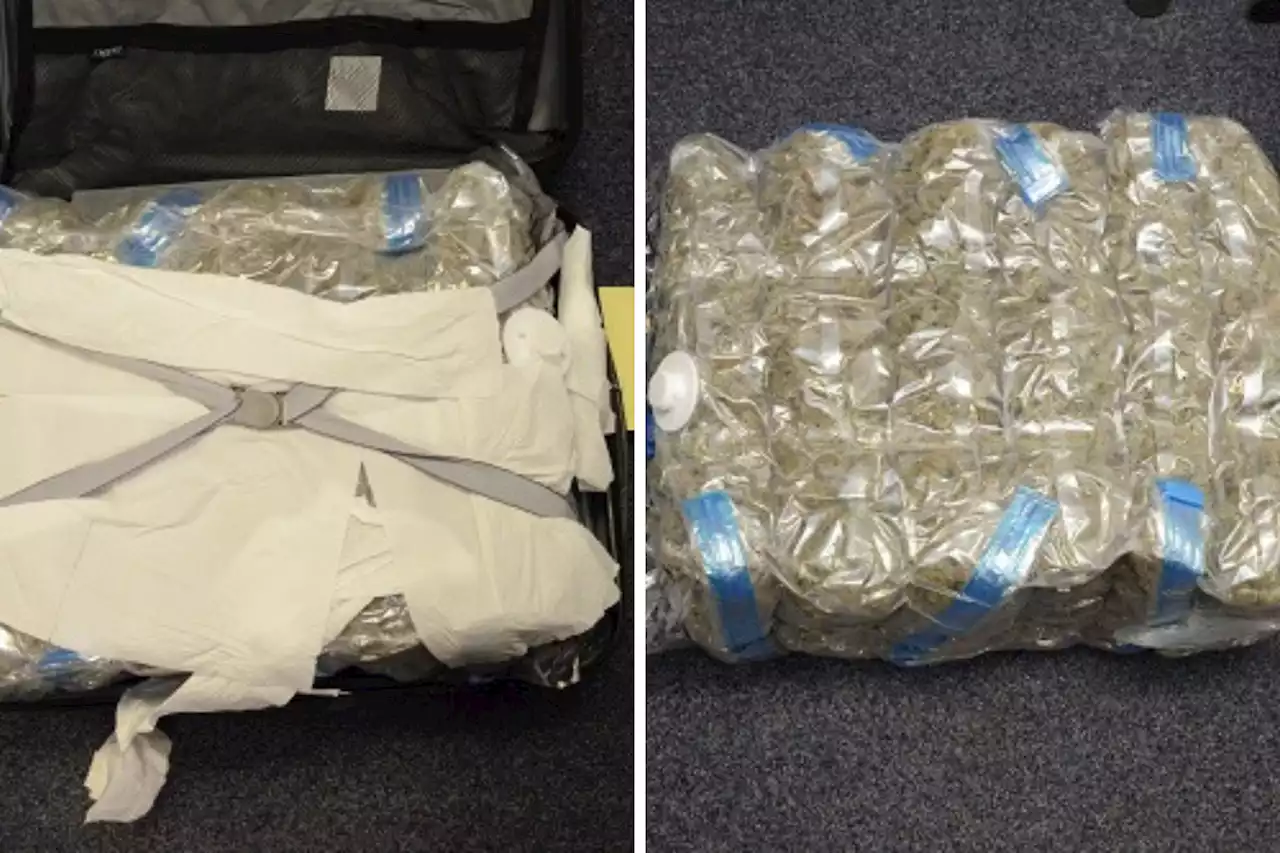 Man acting 'suspiciously' on Glasgow train left behind £6k of drugs in suitcase