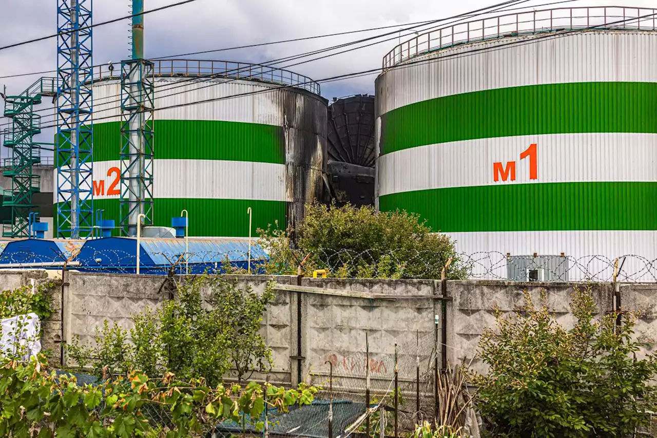 Russia targeting commodities in its war with Ukraine to create food shortages, break West’s resolve