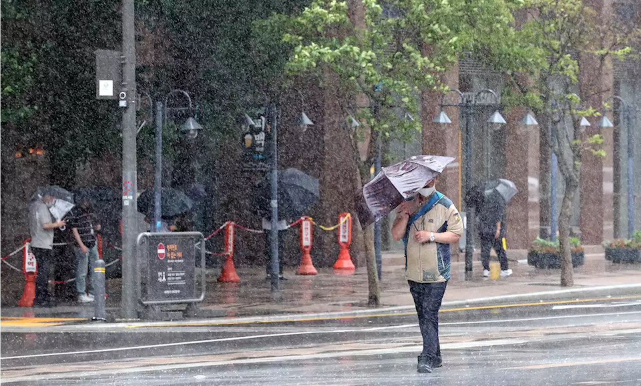 수도권·강원에 호우경보 …밤 사이 곳곳 ‘물 폭탄’