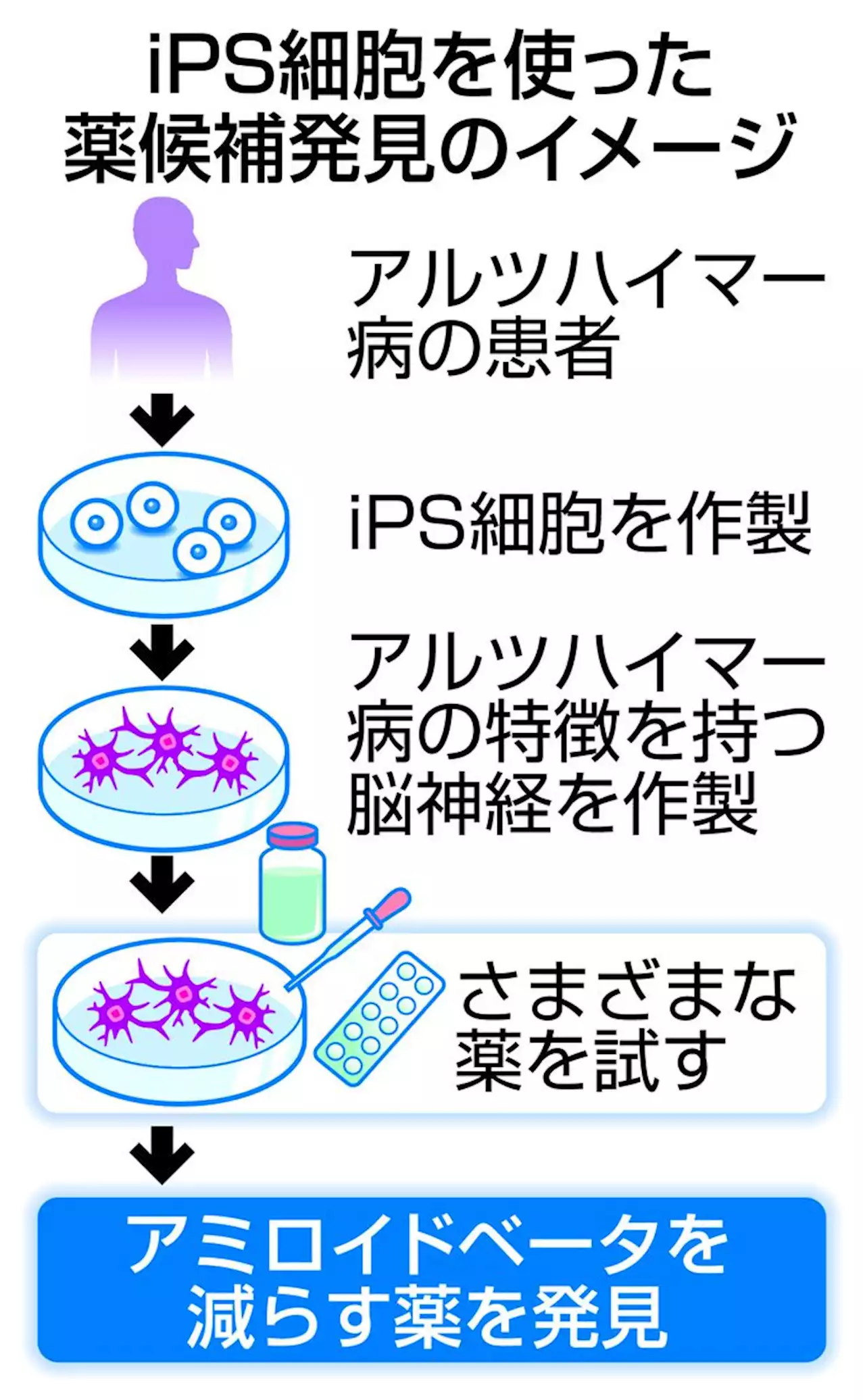 ｉＰＳ創薬 アルツハイマー病治験で効果確認 早期実用化を目指す - トピックス｜Infoseekニュース