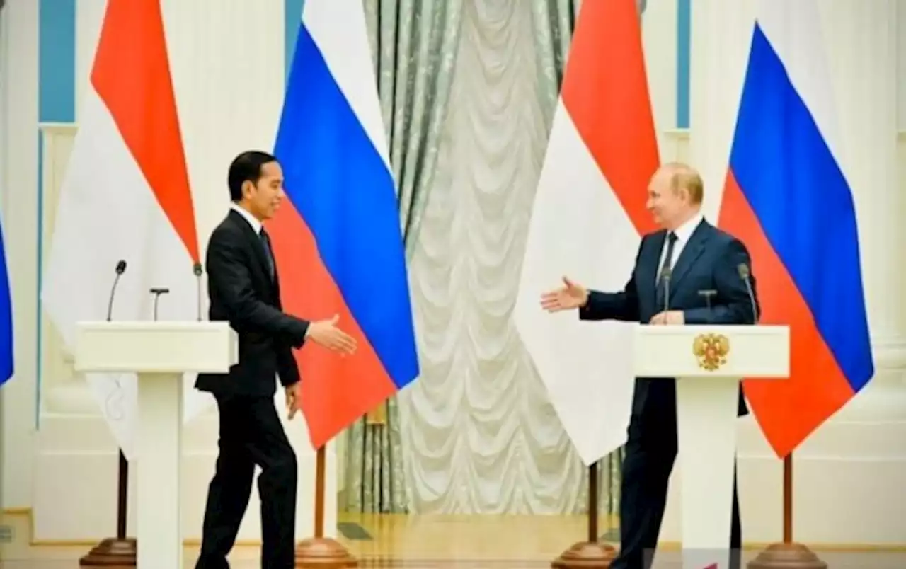 Jokowi Bahas Pangan dan Pupuk saat Bertemu Putin, Sampaikan Pesan Zelenskyy