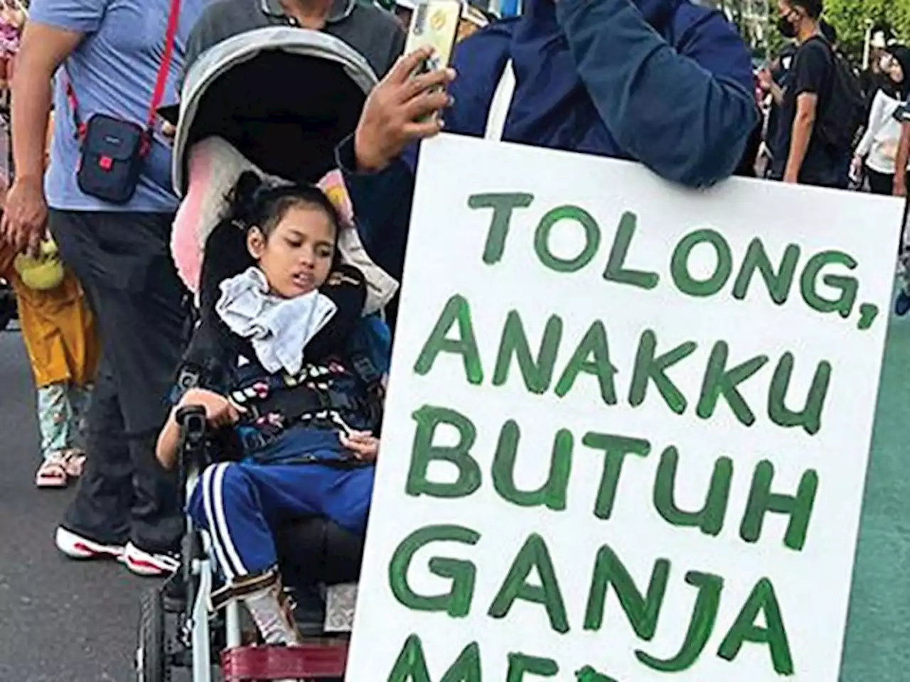 MUI: Ganja Haram Karena Memabukan, tapi Perlu Kajian Untuk Kesehatan