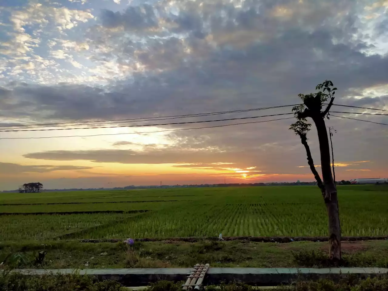 Cuaca Semarang Raya Hari Ini, 30 Juni 2022: Pagi Cerah, Sore Berawan