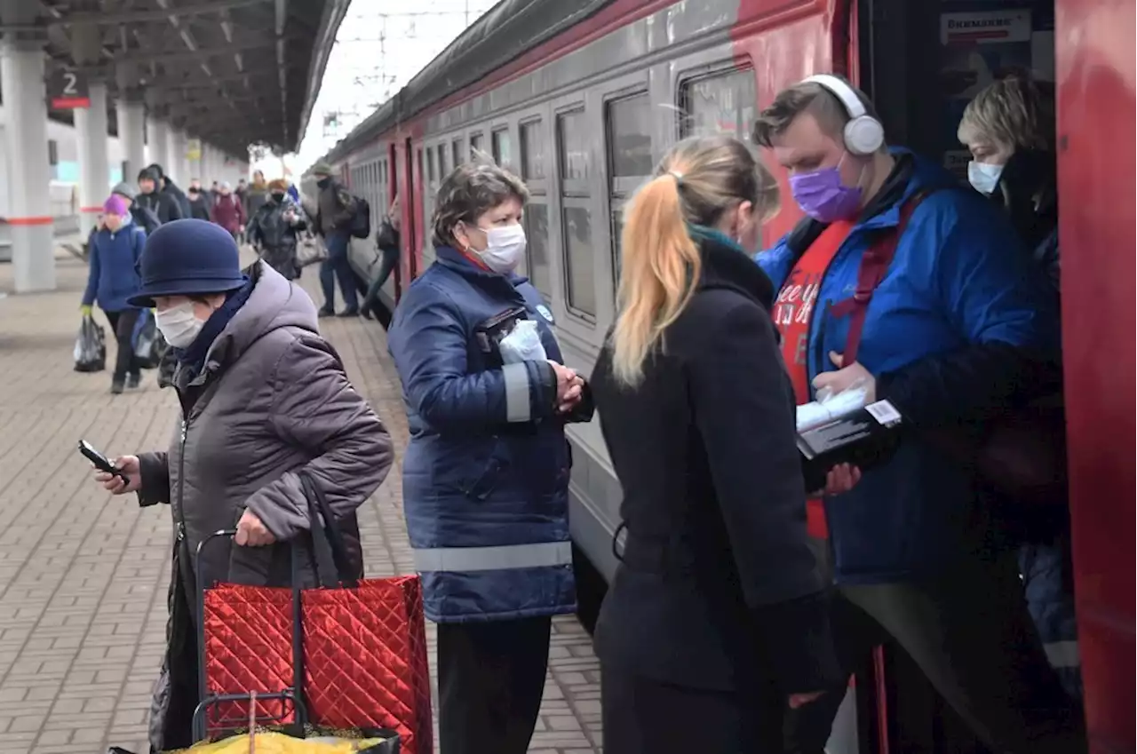 Многодетные семьи из Москвы могут бесплатно ездить в общественном транспорте в Подмосковье