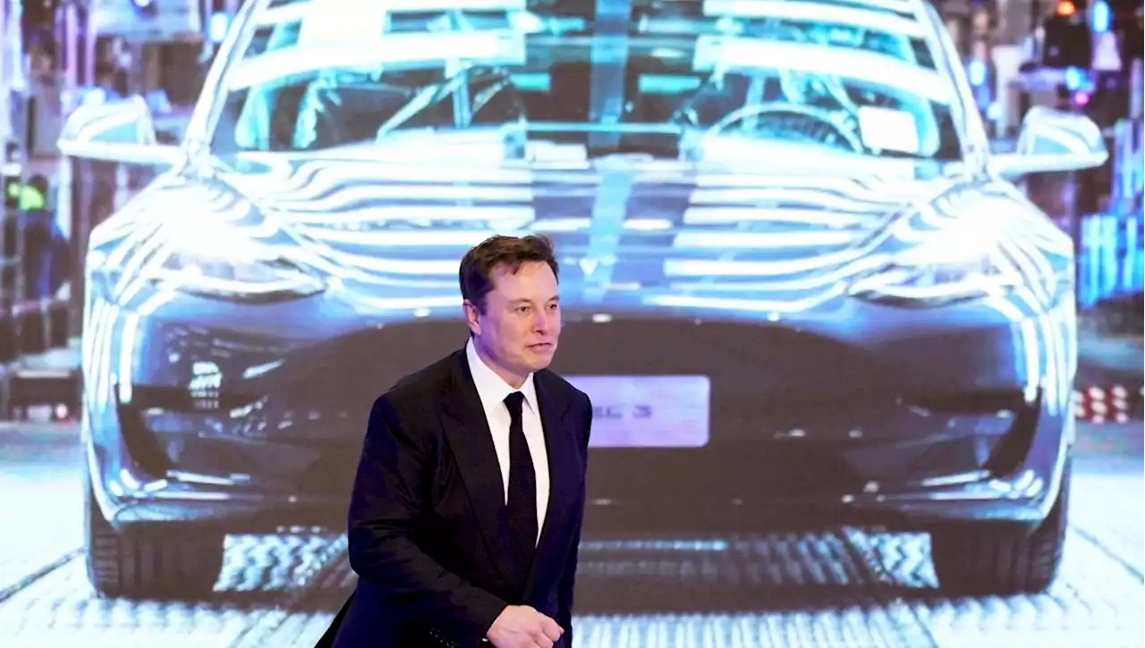 I primi 100 milioni di followers di Musk