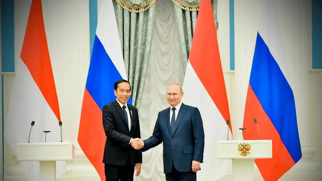 Momen Jokowi Temui Presiden Putin di Kremlin