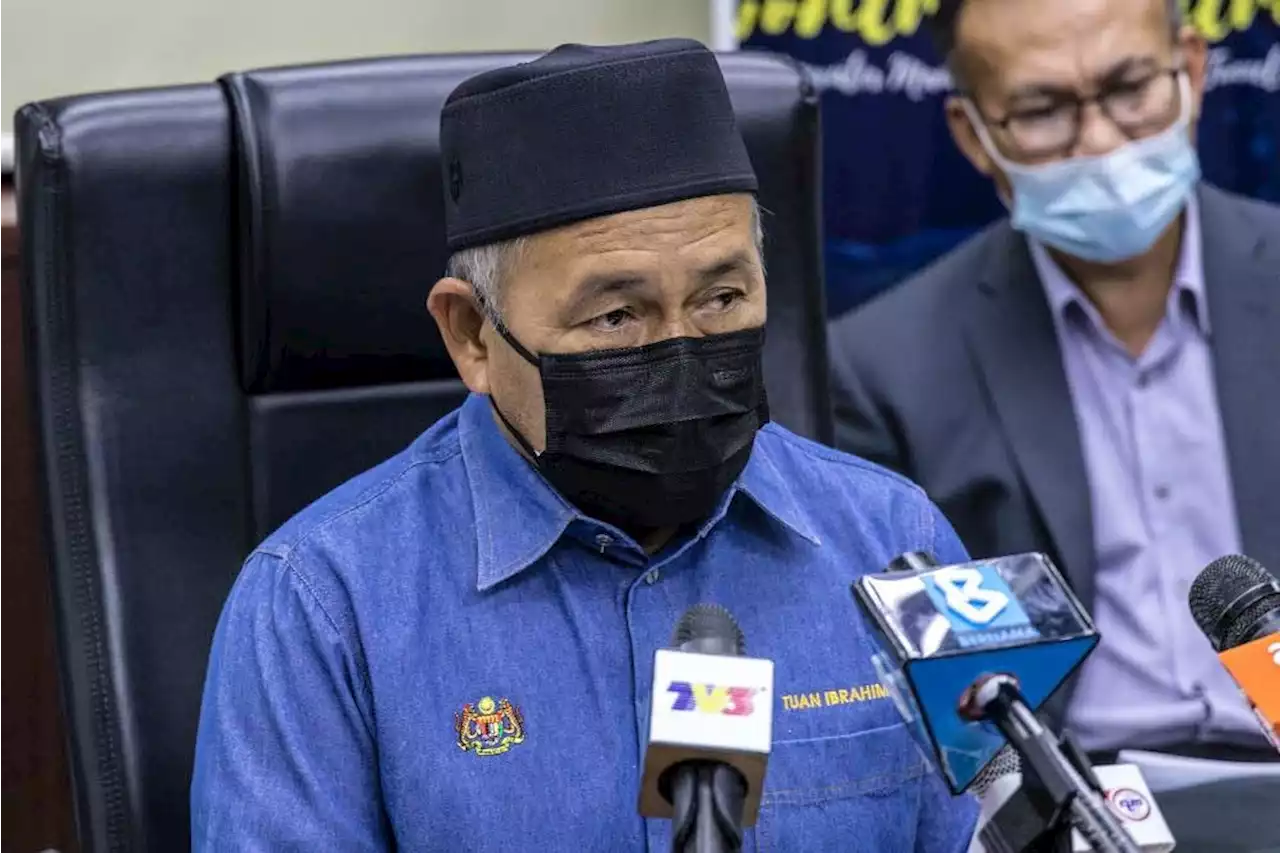 Minister: Amendment for heavier penalties on environment criminals to be tabled in October