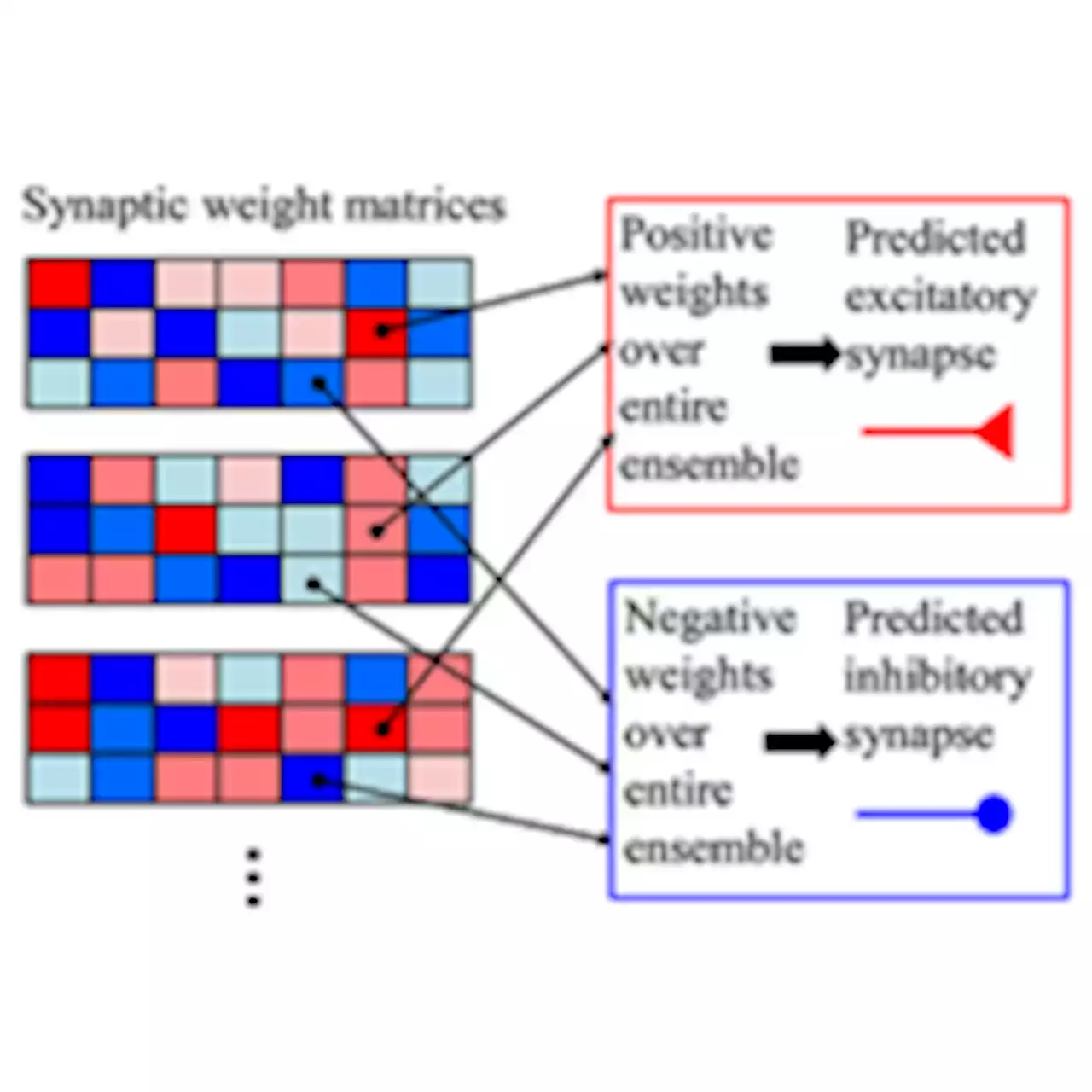 Geometric framework to predict structure from function in neural networks