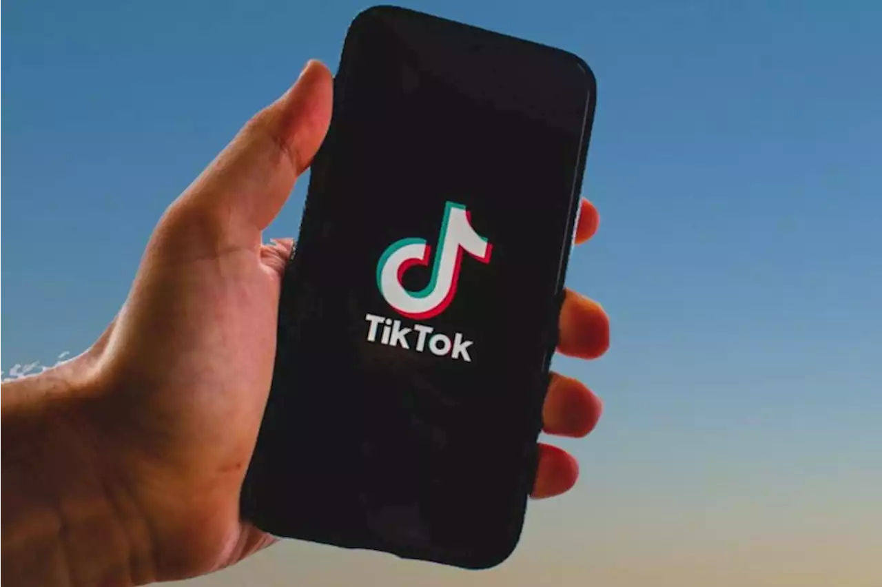 New call for TikTok ban in the US