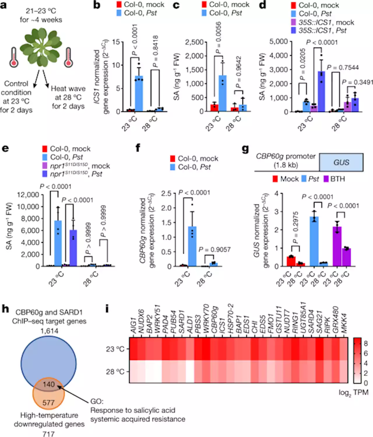 Increasing the resilience of plant immunity to a warming climate - Nature