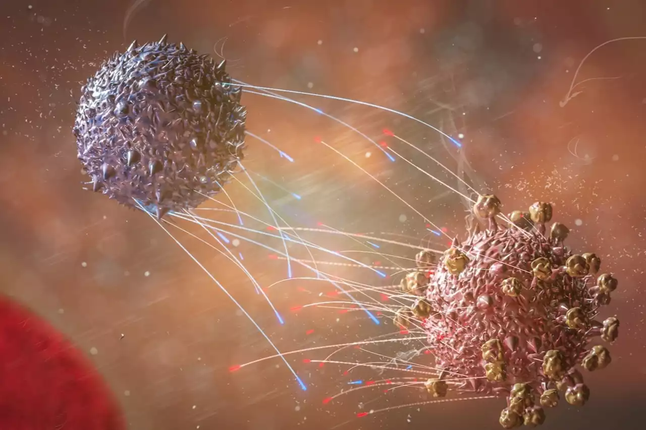 Study shows long COVID remodeling of T cell dynamics is dependent on SARS-CoV-2 severity