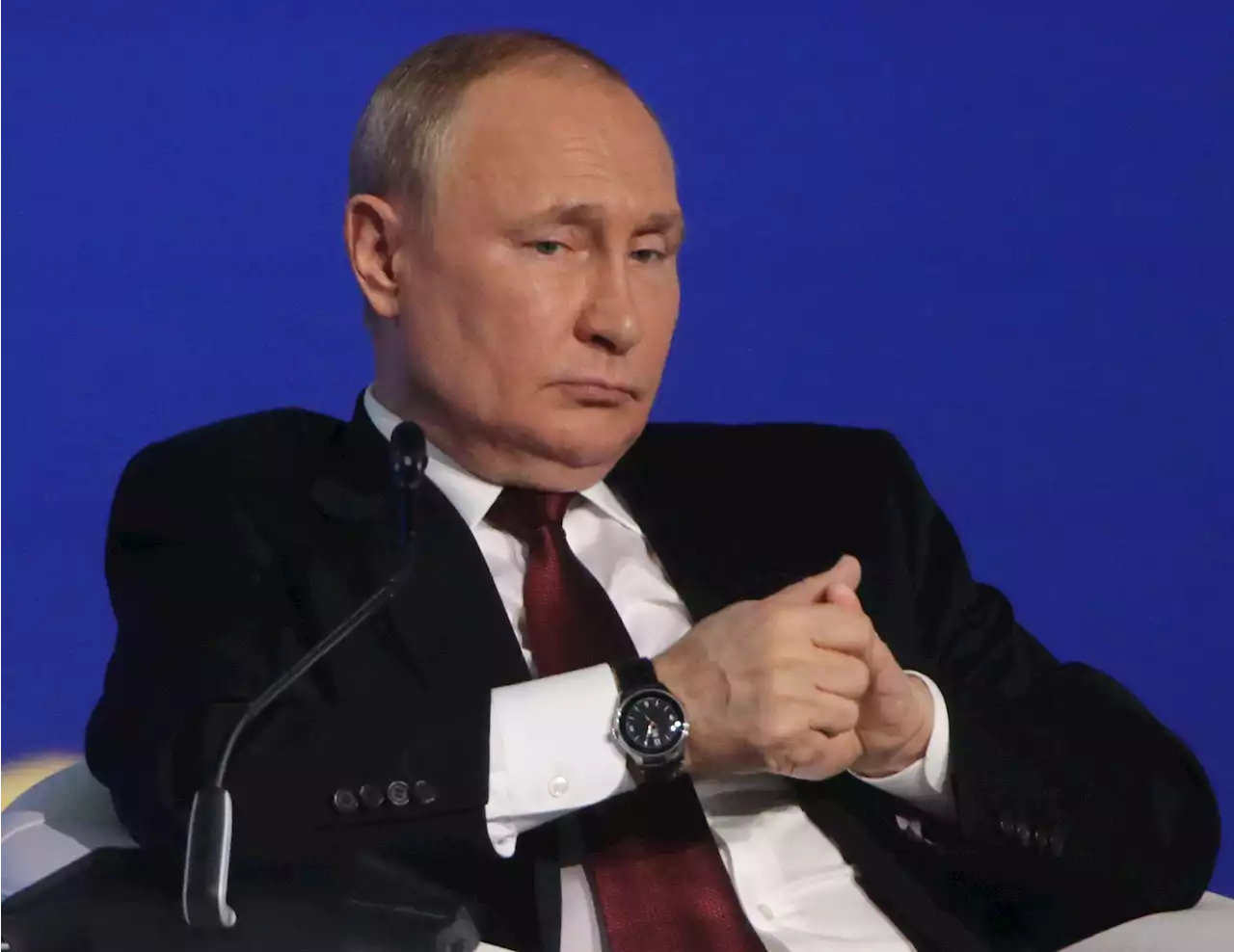 Russian war in Ukraine gives Putin reason to interfere in midterms: Experts