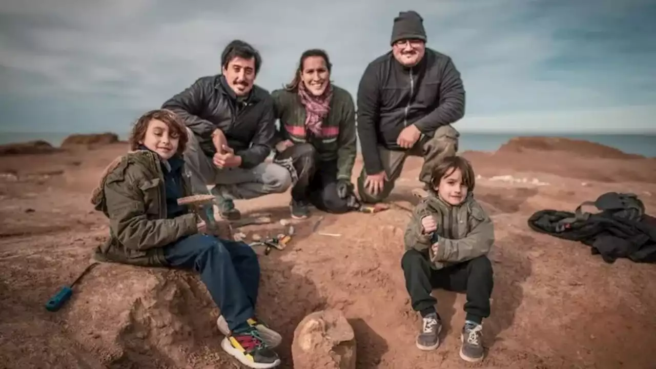 |p|Santa Clara del Mar: un niño de 8 años encontró en la playa un cráneo fósil casi completo|/p|