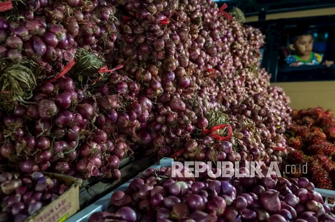 Sulteng Pertahankan Produksi Bawang Merah Sebagai Komoditas Ekspor |Republika Online