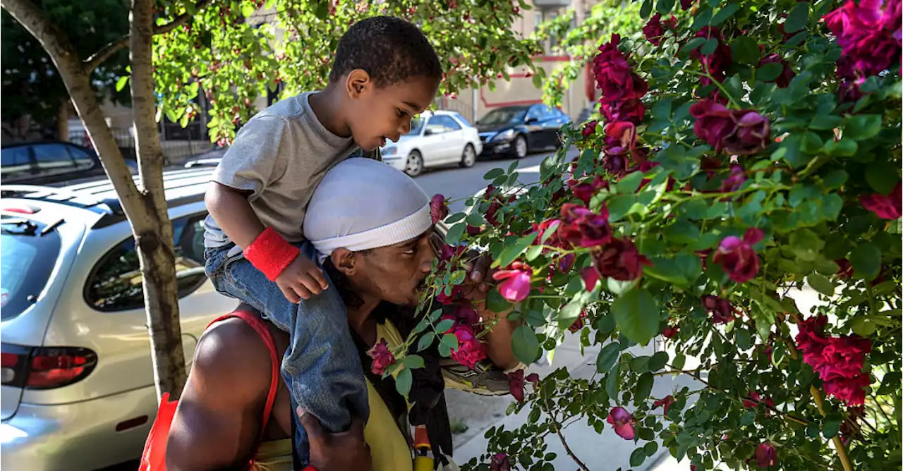 What the Anthropology of Smell Reveals About Humanity