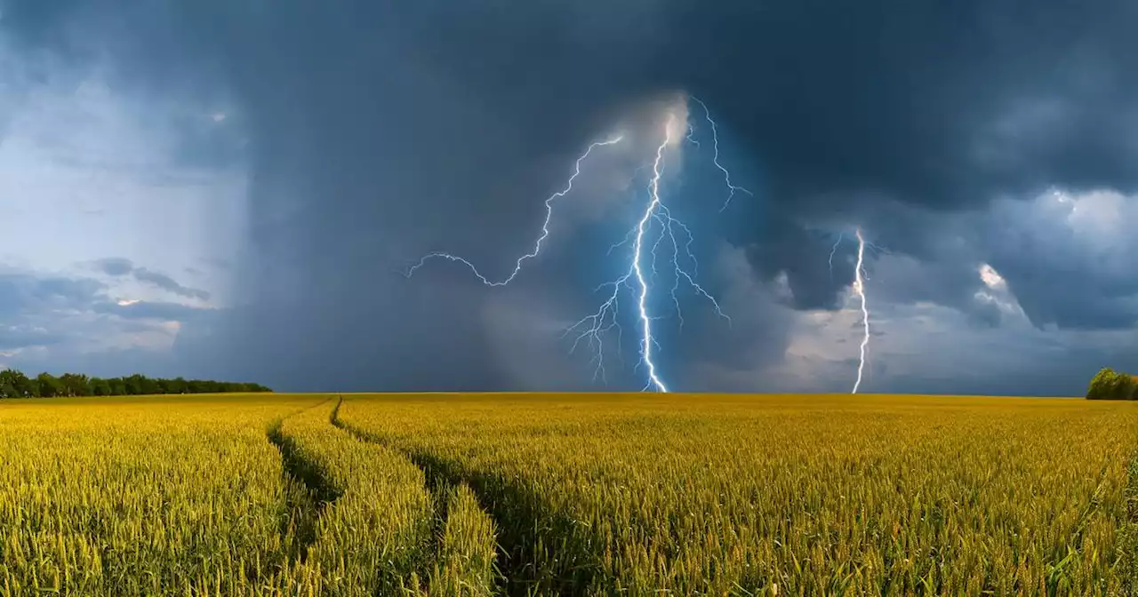 Am Wochenende viel Sonne: Hitze und Gewitter: So wird das Wetter in den kommenden Tagen im Saarland