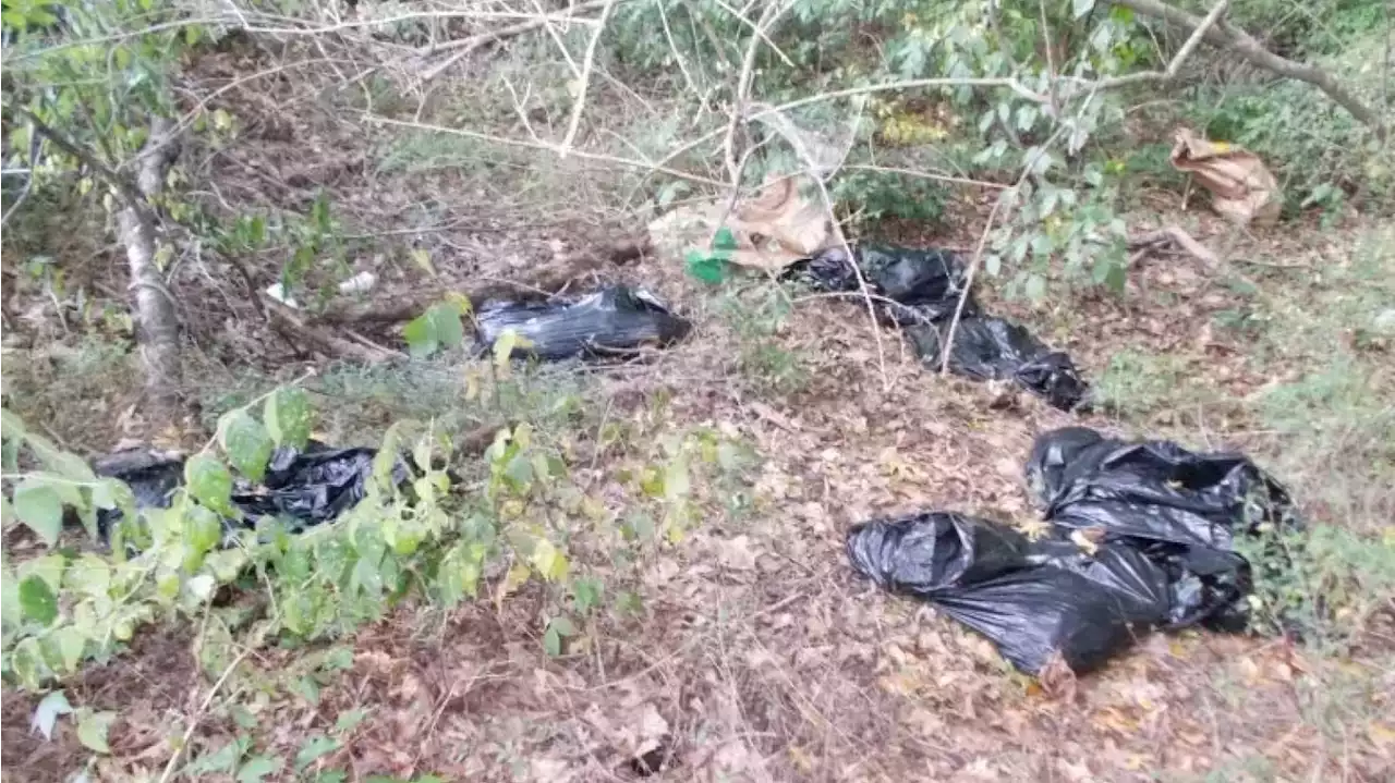 Cops in Georgia Find 23 Bags of Decapitated Farm Animals