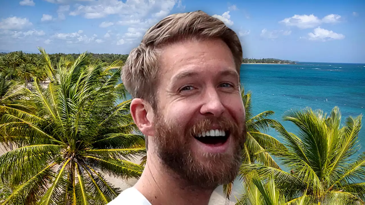 Calvin Harris Enlists Pharrell, Pusha T, Swae Lee, and Snoop for New Album